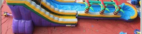 18'H Purple Rain Slip N Slide