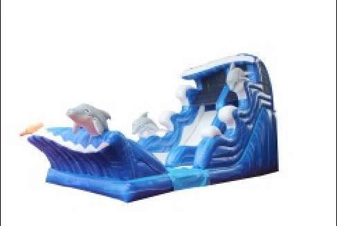 19' DOLPHIN SPLASH