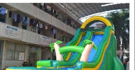 20'H Tropical Slip Slide